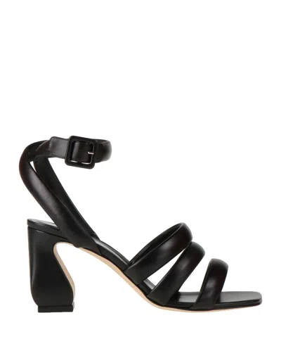 Si Rossi By Sergio Rossi Sandals In Black