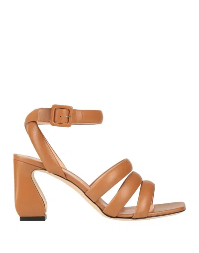 Si Rossi By Sergio Rossi Sandals In Brown