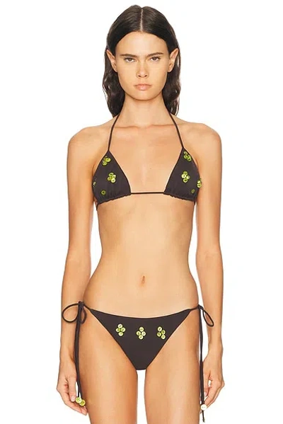 Siedres Juniper Bikini Top In Black