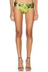 Siedres Lonas Brief Short In Green