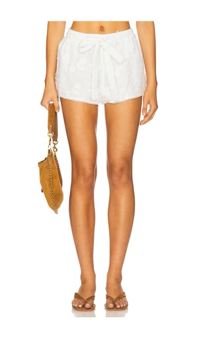 Siedres Shol Short In Gray