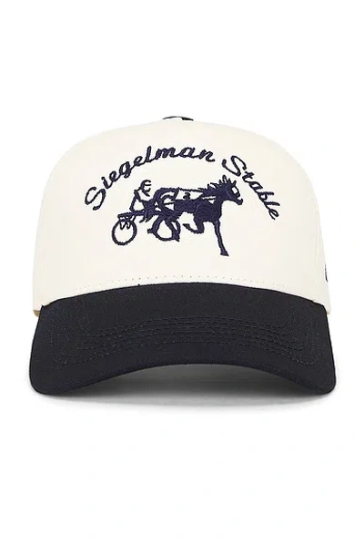 Siegelman Stable Five Panel Hat In Multi