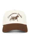 Siegelman Stable Five Panel Hat In Multi