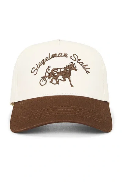 Siegelman Stable Five Panel Hat In Multi