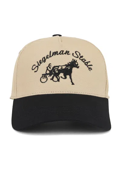 Siegelman Stable Hat