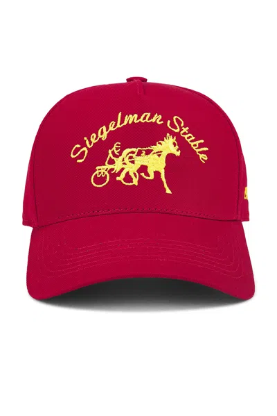 Siegelman Stable Hat In Multi
