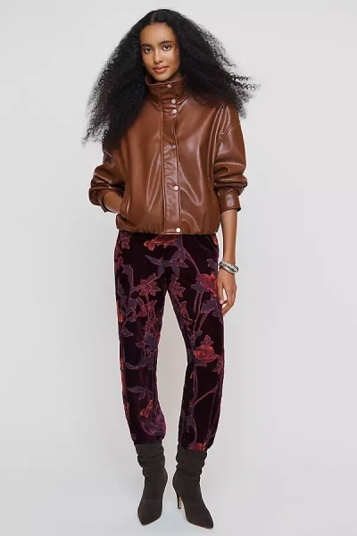 Siempre X Anthropologie Velvet Pull On Pants In Multi