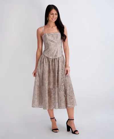 Siena Women's Embroidered Mesh Midi Dress In Taupe