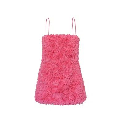 Sienna & Gaia Women's Pink / Purple Bella Dress