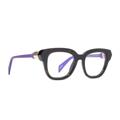 SIENS CREATURE 122 004 HAVANA SCURO GLASSES