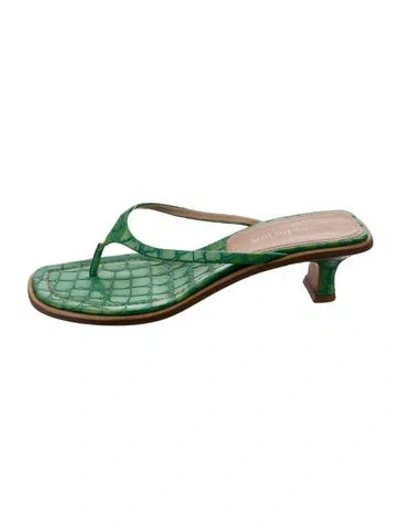 Pre-owned Sies Marjan Patent Leather Animal Print Flip Flops In Green