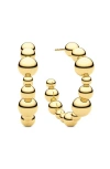 Sif Jakobs Jewellery Earrings Bormio Circolo In Gold
