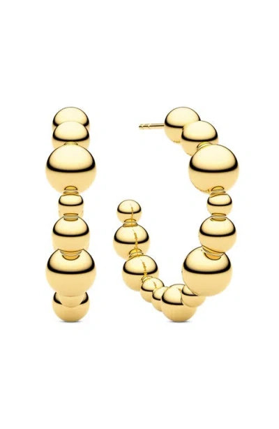 Sif Jakobs Jewellery Earrings Bormio Circolo In Gold