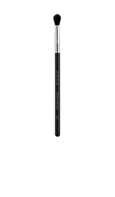 Sigma Beauty E38 Diffused Crease Brush In N,a