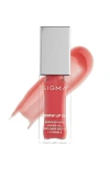 Sigma Beauty Renew Lip Oil
