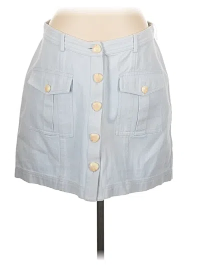 Pre-owned Significant Other Casual Skirt In Blue