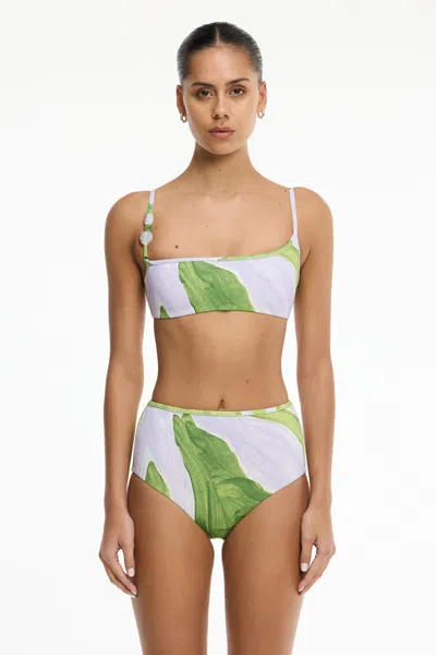 Significant Other Jura Brief In Multi