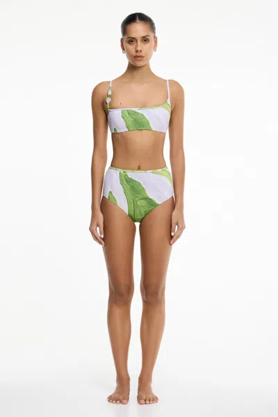 Significant Other Spencer Tank Top In Multi