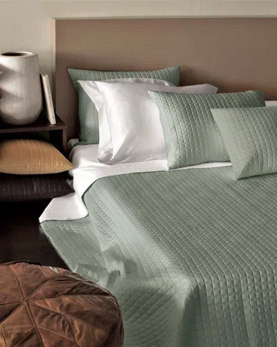 Signoria Firenze Masaccio Quilted Standard Sham In Silver Sage