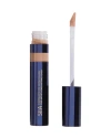 Siia Cosmetics Ultimate Fit Concealer In Walnut