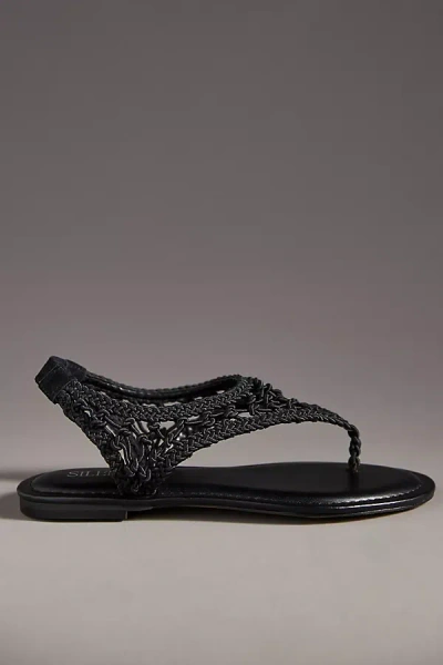 Silent D Crochet Thong Sandals In Black
