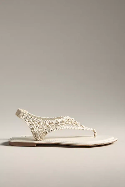 Silent D Crochet Thong Sandals In Yellow