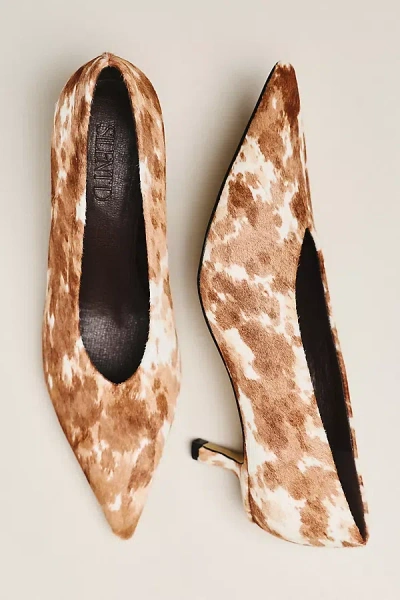 Silent D Dais Pointed Toe Kitten Heels In Brown