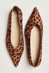 Silent D Selina Pointed-toe Flats In Animal Print