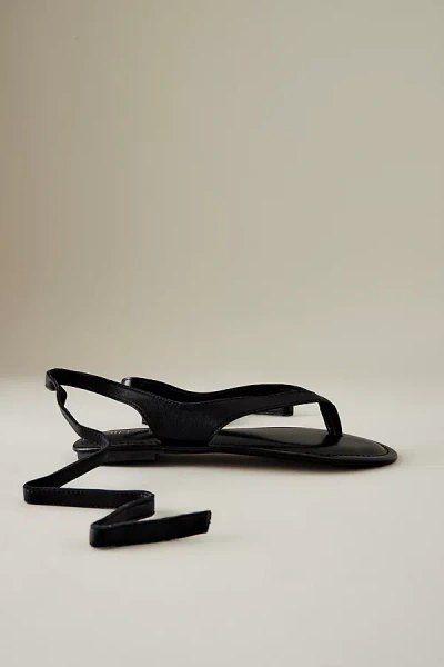 Silent D Suede Tie-up Toe-strap Sandals In Black