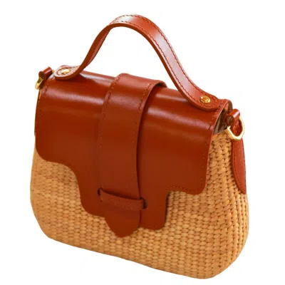 Silk And Bears Women's Brown / Gold Handwoven Water Hyacinth Mini Crossbody Bag – Tan Leather Trim In Multi