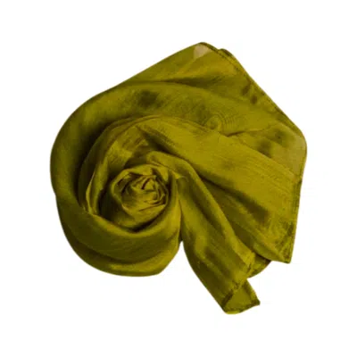 Silk And Bears Women's Olive Green Silk Scarf – Handmade Mulberry Silk Shawl