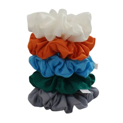 Silk And Bears Women's Pure Habotai Silk Scrunchie Set Of 5 – Emerald, Sky, Orange, Pearl & Grey In Multi