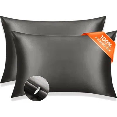 Silksilky Set Of 2pcs-22momme Mulberry Silk Hidden Zipper Pillowcase