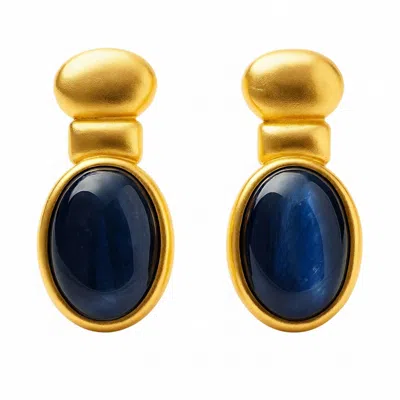 Silver & Elegant Co. Women's Blue / Gold Still Light Blue Cat's Eye Earrings In Multi