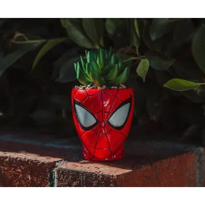 Silver Buffalo 5" Cactus Plant In Planter