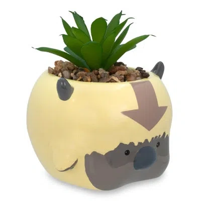 Silver Buffalo 5.5" Artificial Succulent In Planter