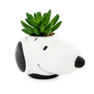 Silver Buffalo Artificial Succulent In Planter In Green