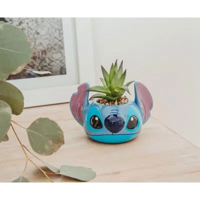 Silver Buffalo Artificial Succulent Plant In Pot