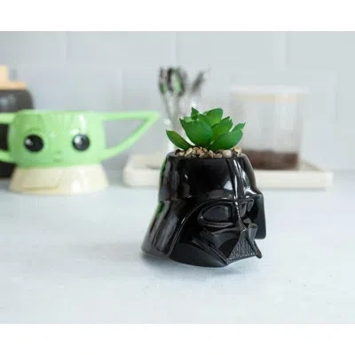 Silver Buffalo Artificial Succulent Plant In Pot