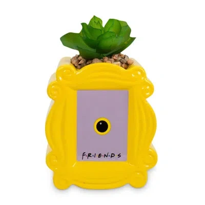 Silver Buffalo Artificial Succulent Plant In Pot