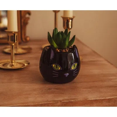 Silver Buffalo Disney Hocus Pocus "binx Is My Boo" Ceramic Planter With Artificial Succulent