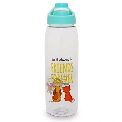 Silver Buffalo Fox And The Hound Friends Forever 28oz Water Bottle In Blue;brown;yellow