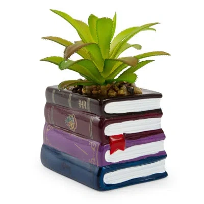 Silver Buffalo Harry Potter Book Stack Artificial Succulent Plant In Pot In Green