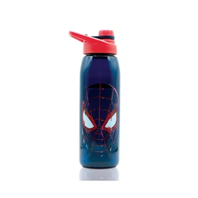 Silver Buffalo Spider Man 28 Oz. Insulated Water Bottle In Blue;red