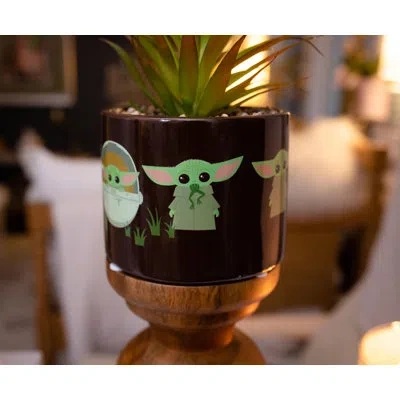 Silver Buffalo The Child Artificial Succulent Plant In Pot