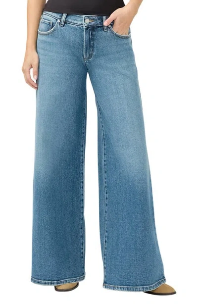 Silver Jeans Co. Baggy Low Rise Skater Jeans
