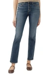Silver Jeans Co. Women's Most Wanted Mid Rise Straight Leg Jeans In Indigo