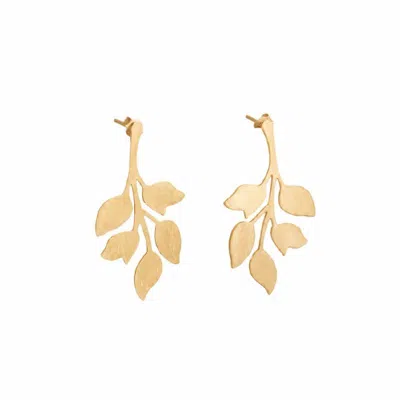 Silver Moon Women's Branches Of Light Gold-plated Sterling Silver Earrings
