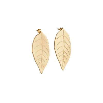 Silver Moon Women's Moonleaf Gold-plated Sterling Silver Earrings