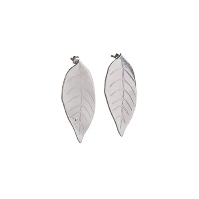 Silver Moon Women's Moonleaf Sterling Silver Earrings